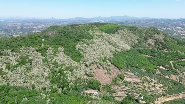 中国最早的天文台，二十四节气中测定春分的圣地——栖霞方山