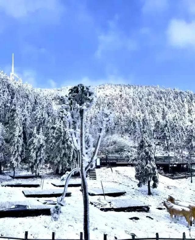 云冰山：广东人的冰雪奇缘，周末就能去的冬日仙境