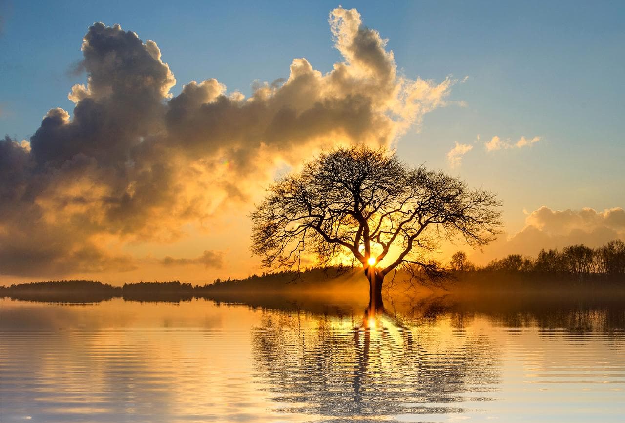 辛弃疾青玉案·元夕赏析，灯火阑珊处的深情与孤独