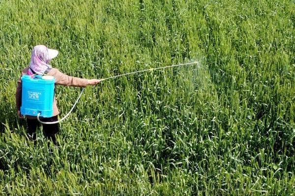 除草剂使用指南：分类、稀释与施用方法详解