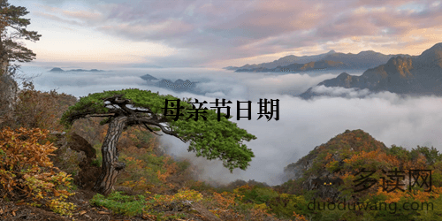 母亲节：爱的庆典与历史渊源