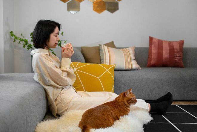 猫咪最爱的8种气味：从猫草到主人的味道