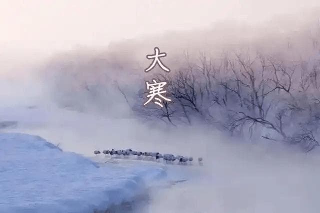 大寒时节养生美食：传统食物与推荐菜肴全攻略