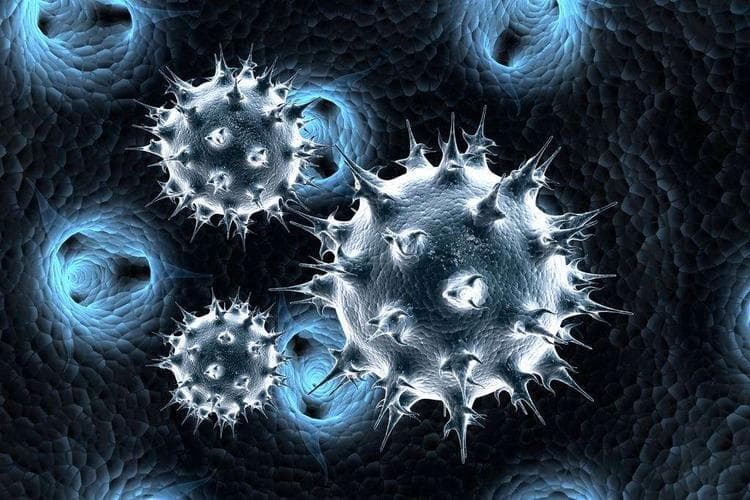探索极限：艾滋病病毒在不同生活温度下的生存奥秘