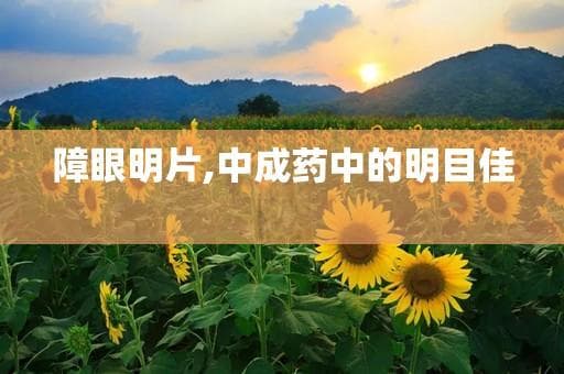 障眼明片：中成药中的明目佳品