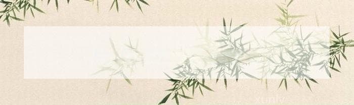 陈皮水可以泡白茶吗？怎么泡？