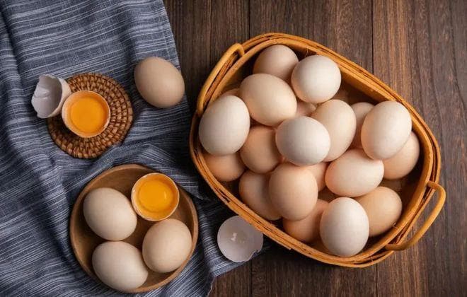 专家告诉你感冒了可不可以吃鸡蛋？