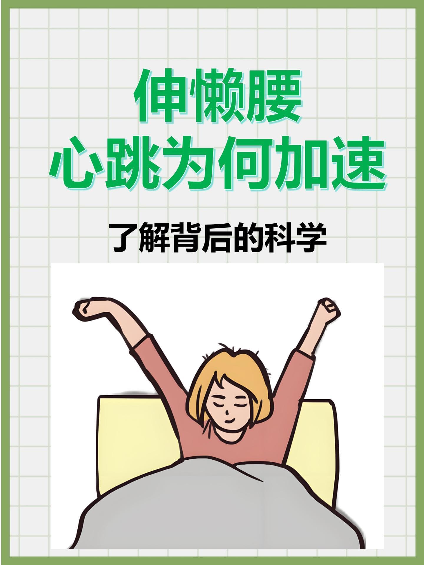 伸懒腰心跳为何加速？了解背后的科学