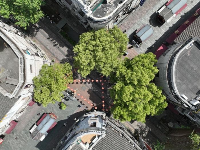 杭州河坊街“四拐角”：历史文化名城保护在这里拐弯