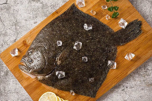 比目鱼：海洋中的独特生物