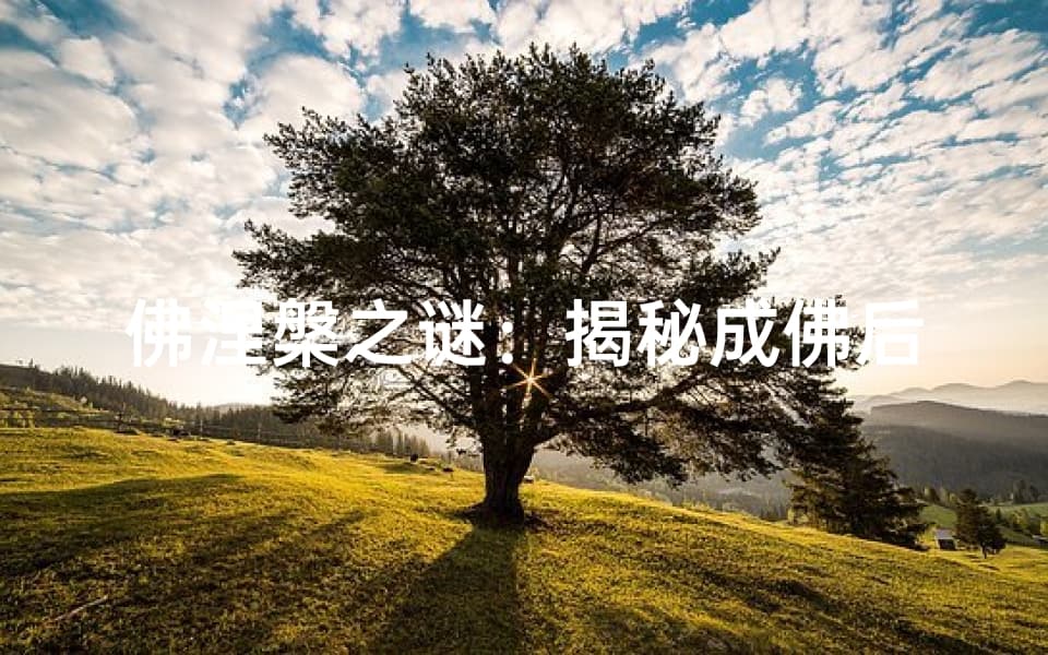 佛涅槃之谜：揭秘成佛后的神秘寺庙之旅