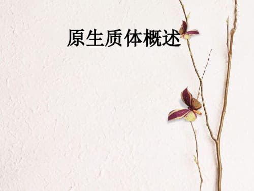 原生质体：细胞生物学中的重要结构与现代生物技术工具