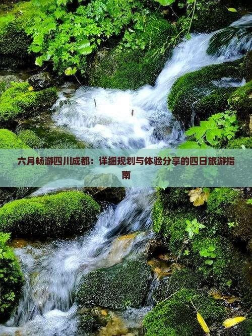 六月畅游四川成都：详细规划与体验分享的四日旅游指南