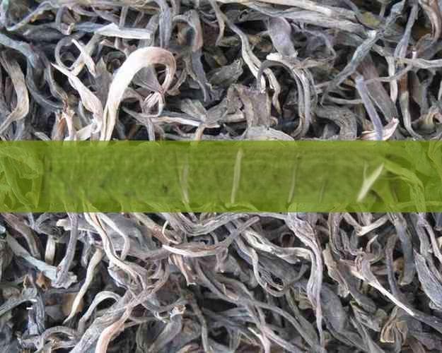 陈皮与生普洱茶的完美搭配：从泡饮技巧到健康功效