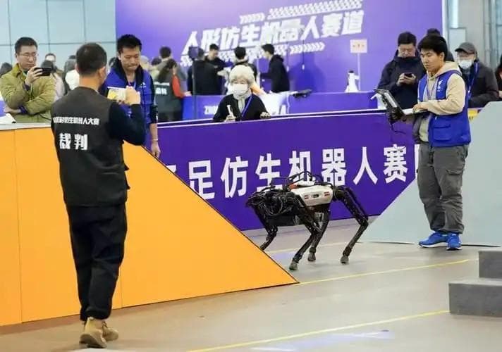 从实验室走向应用：北理工仿生机器人团队的技术探索与冠军之路