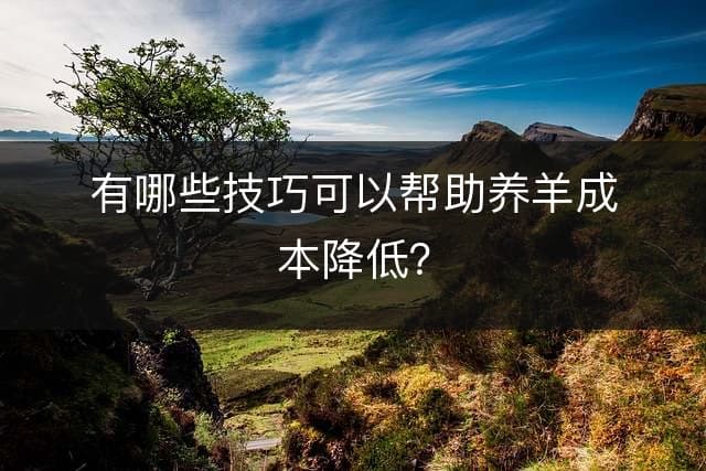 降低养羊成本的实用技巧