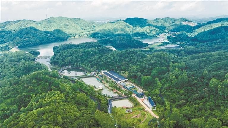 广州打造世界级温泉康养胜地，串联南昆山罗浮山两座名山