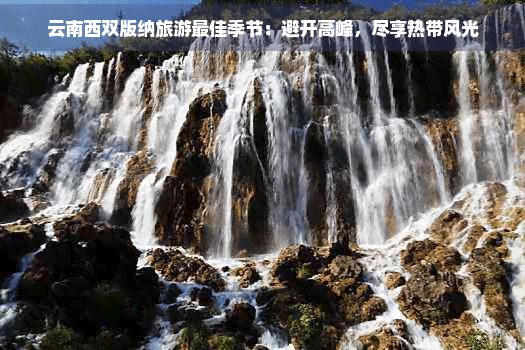 云南西双版纳旅游更佳季节：避开高峰，尽享热带风光