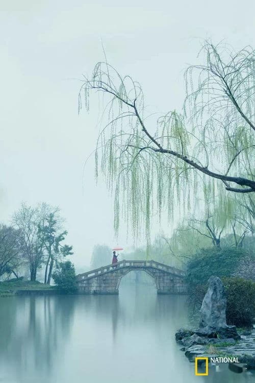 烟花三月下扬州：浪漫与诗意的完美融合