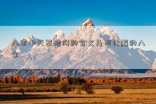 八字中天罗地网的含义及可化解的八字