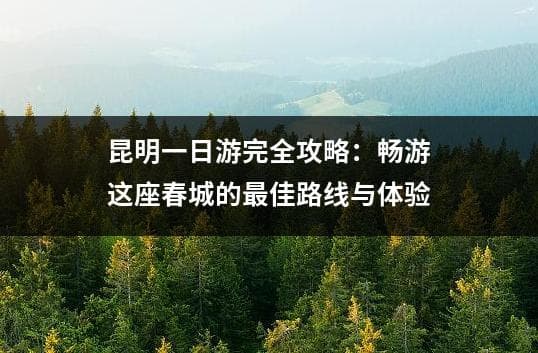 昆明一日游完全攻略：畅游这座春城的最佳路线与体验