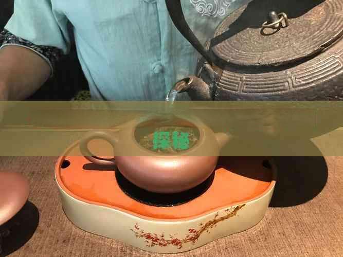 普洱茶的古六大茶山与新六大茶山探秘