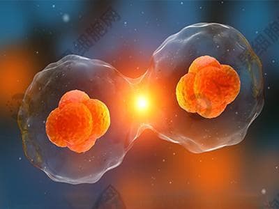 防御与营养并重：揭示母乳如何塑造婴儿的微生物群和免疫力