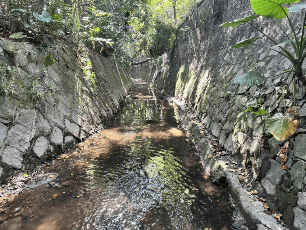 华南国家植物园生态湖入选2024年广州市第二批美丽河湖优秀案例