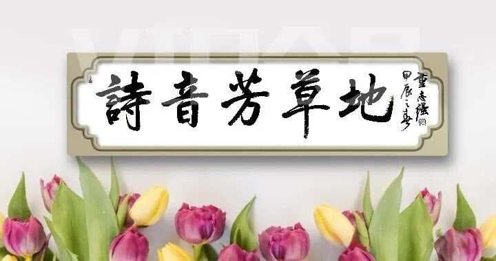 【国画视频教程】二十多种昆虫作品画法，整理不易，赶紧收藏了吧！