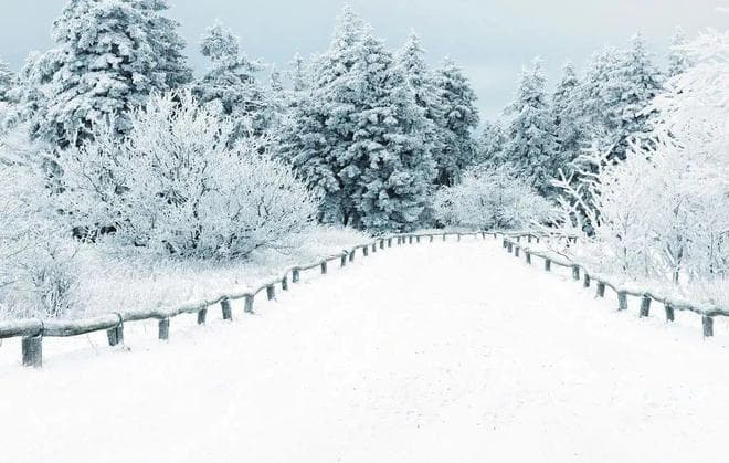冬日如何拍摄雪景？（全攻略）