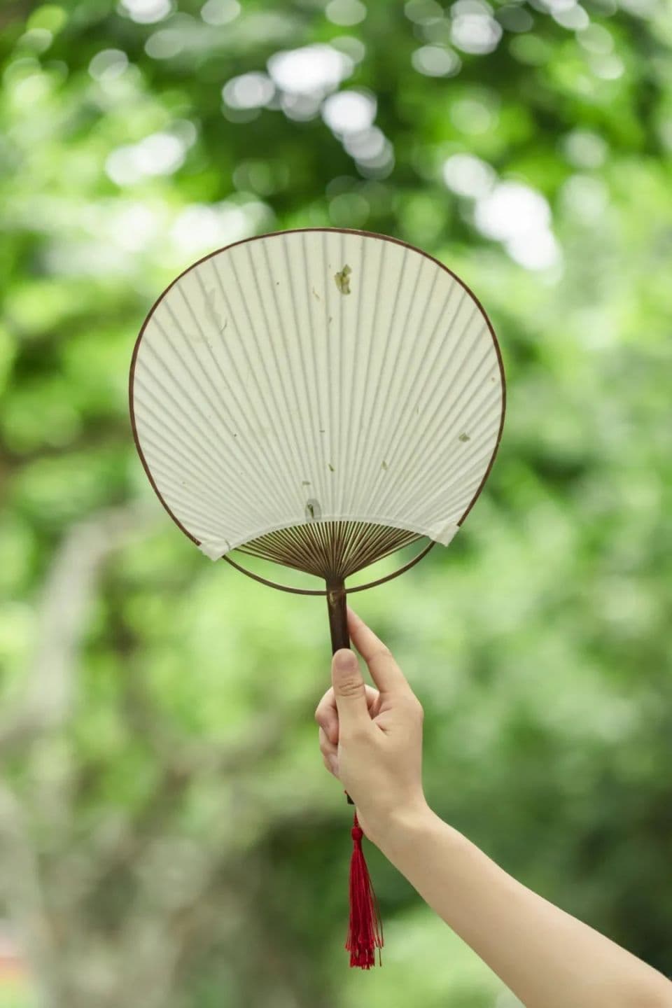 夏至的九种美