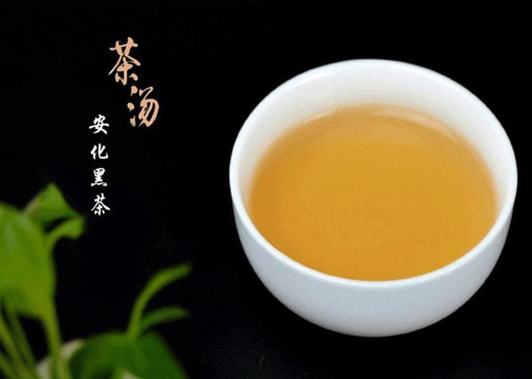 福建黑茶：浓郁茶香与生活热忱交融的传奇故事