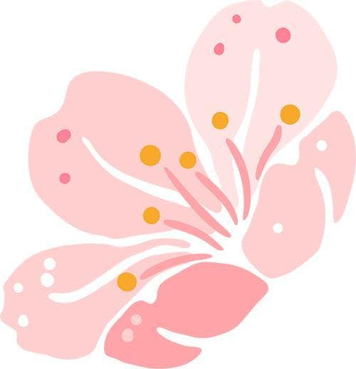 当年轻人开始“整顿”婚礼，这样结婚受热捧……