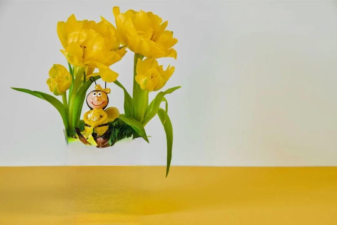强迫症治疗，到底“药”“不药”？