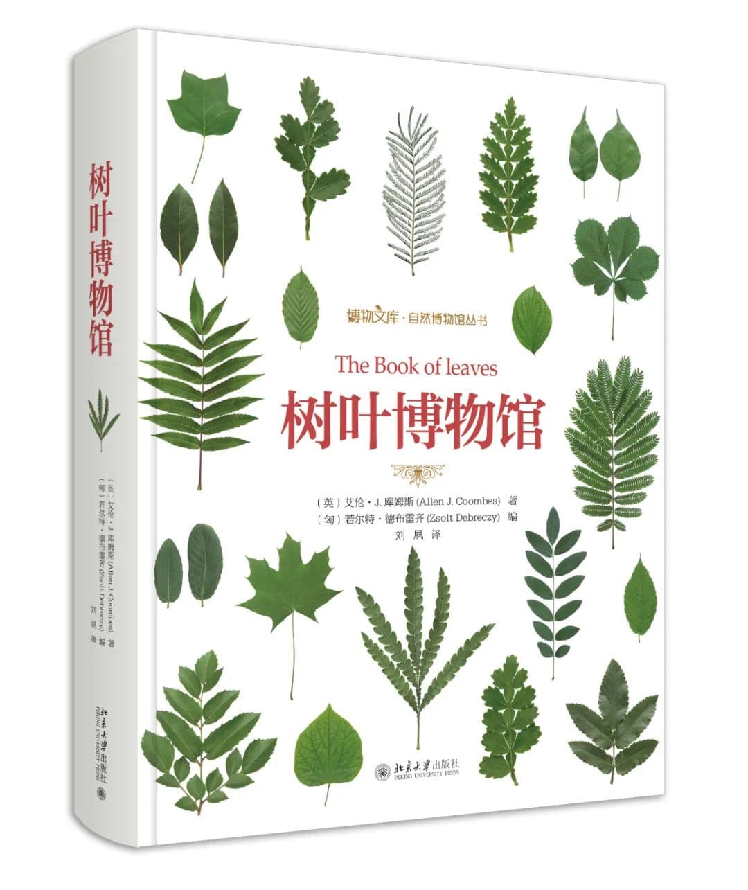 这些绝美自然科普书，带你认识草木花鸟虫