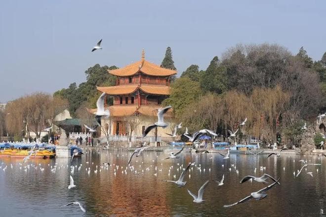 探寻昆明魅力：夏日长假必游的文化之旅与美食之享