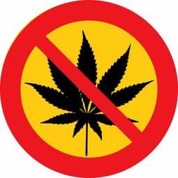 广东一中学禁止学生自带面包，教育政策背后的考量与平衡