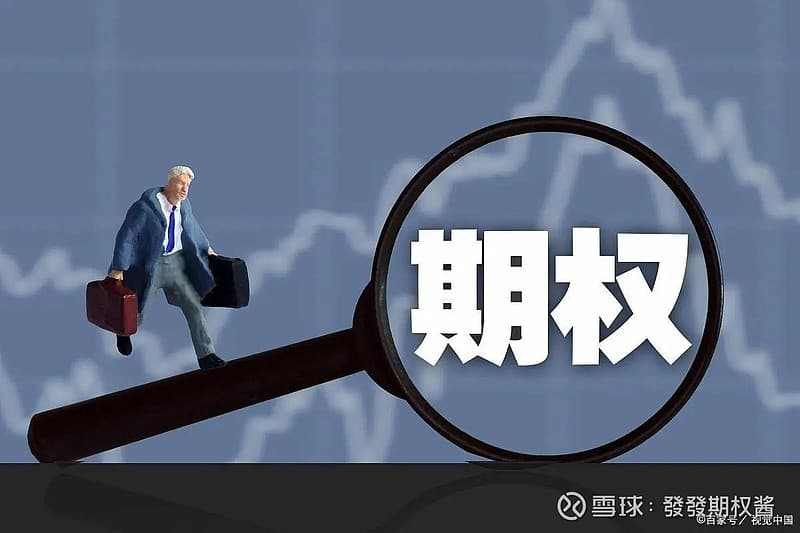 期权行权全流程详解：权利方与义务方操作指南
