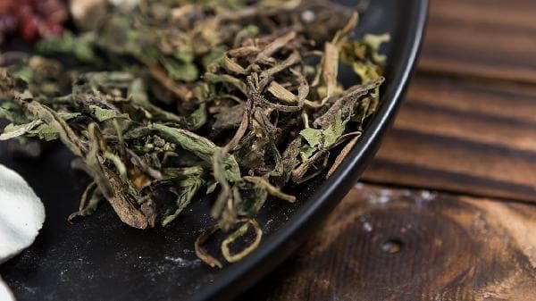 蒲公英根的功效与使用方法