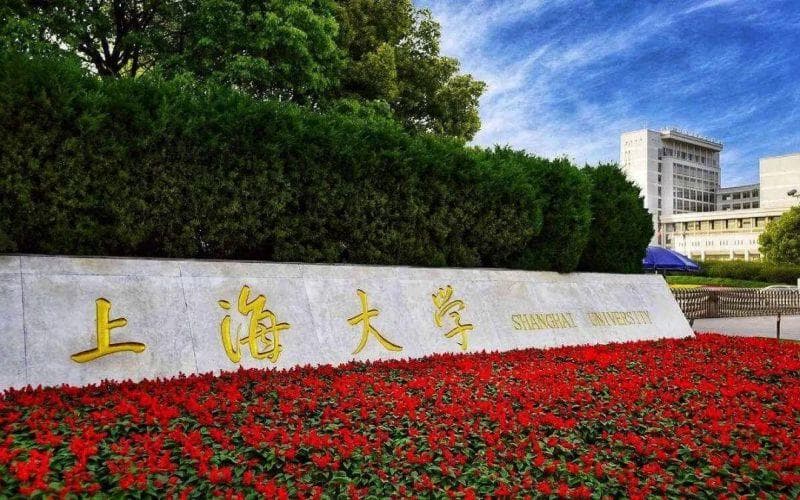 上海大学2024年各专业学费收费标准详解