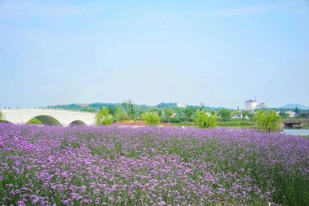 苏州西部生态旅游度假区精品旅游线路