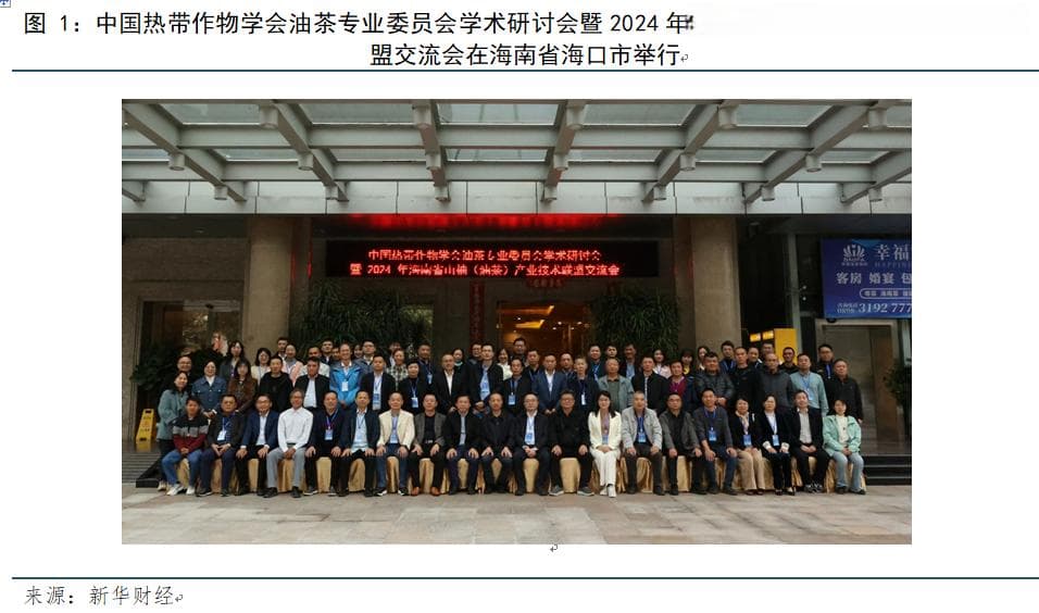 专家建言献策助力中国油茶产业高质量发展