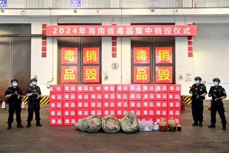 直击销毁毒品现场！海南公开销毁100公斤毒品