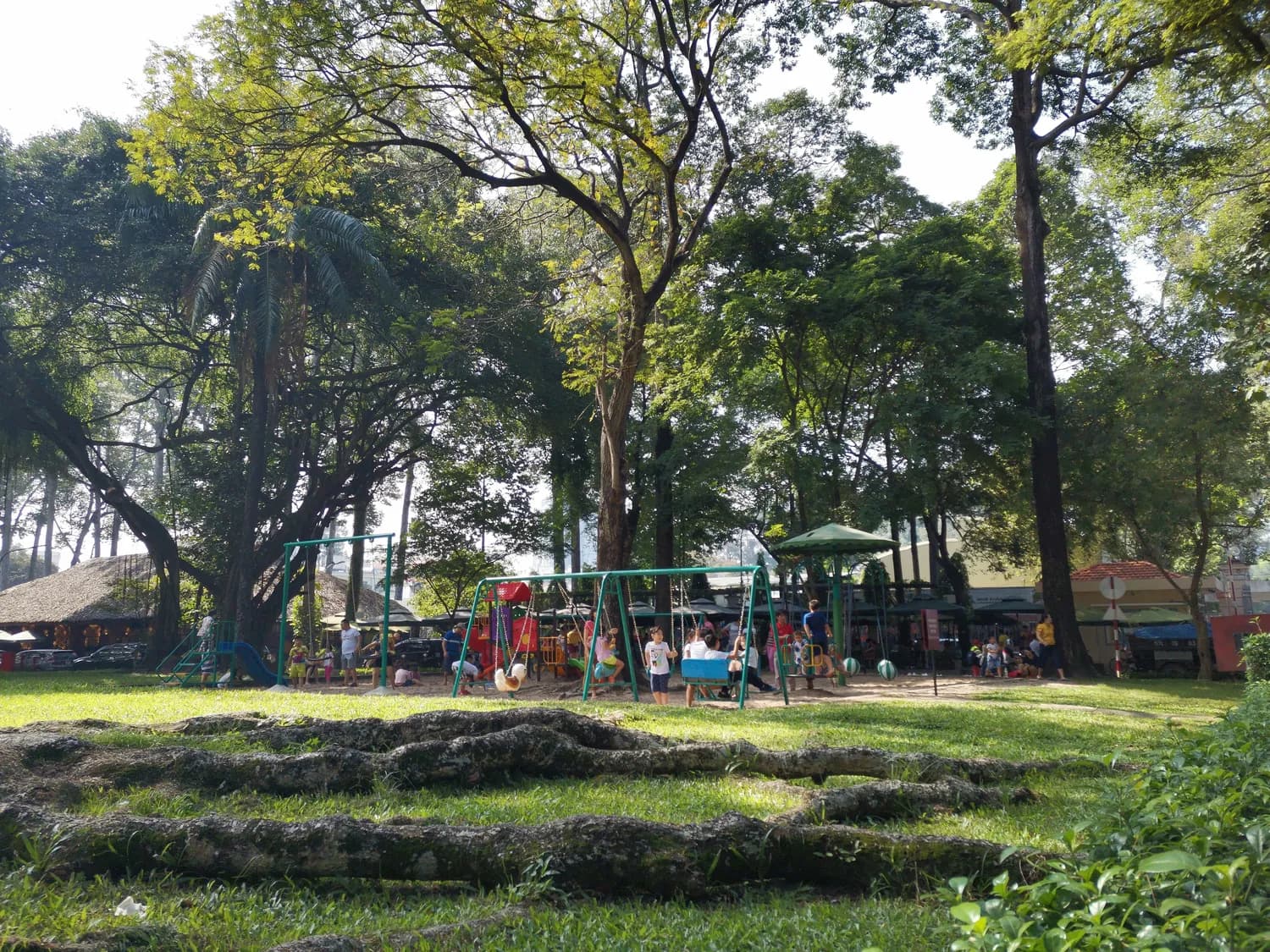南京中山植物园北园：亲子游玩的自然课堂