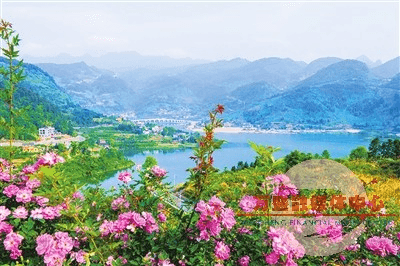 这个春天你来赏花了没 重庆万盛“赏花经济”活力十足