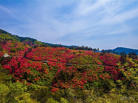 木兰云雾山：自然奇观与历史文化交融之地