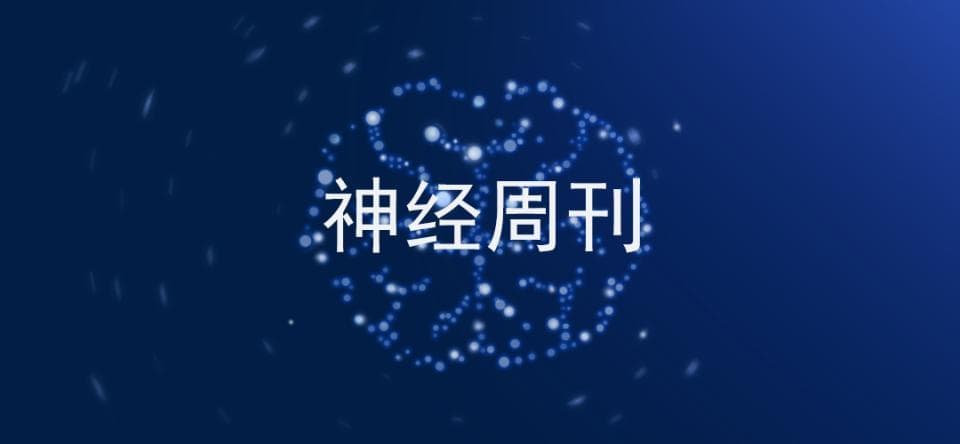 Nature：科学家揭示青春期少突胶质细胞髓鞘化限制成年期视觉皮层的神经元可塑性