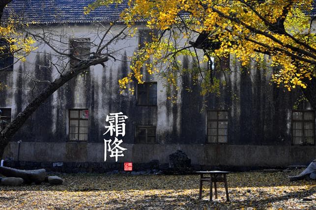 霜降：秋季的最后一个节气
