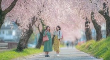 春季踏青攻略：春游传统活动，赏美景，享自然之旅