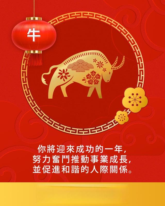 2025开运时尚：穿上你的生肖幸运色吧